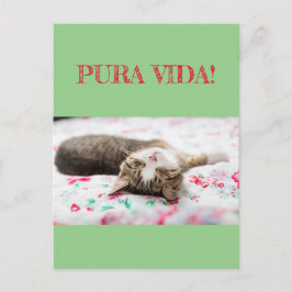 Weisheiten&Humor PuraVida! Katze schläft auf grün Postkarte