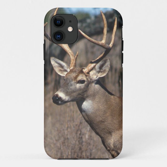 Weiß-Angebundene Rotwild - iPhone 5 Abdeckung Case-Mate iPhone Hülle (Rückseite)