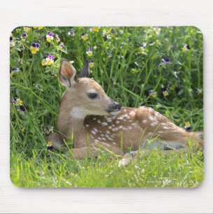 Weiß-angebundene Rotwild (Odocoileus virginianus) Mousepad