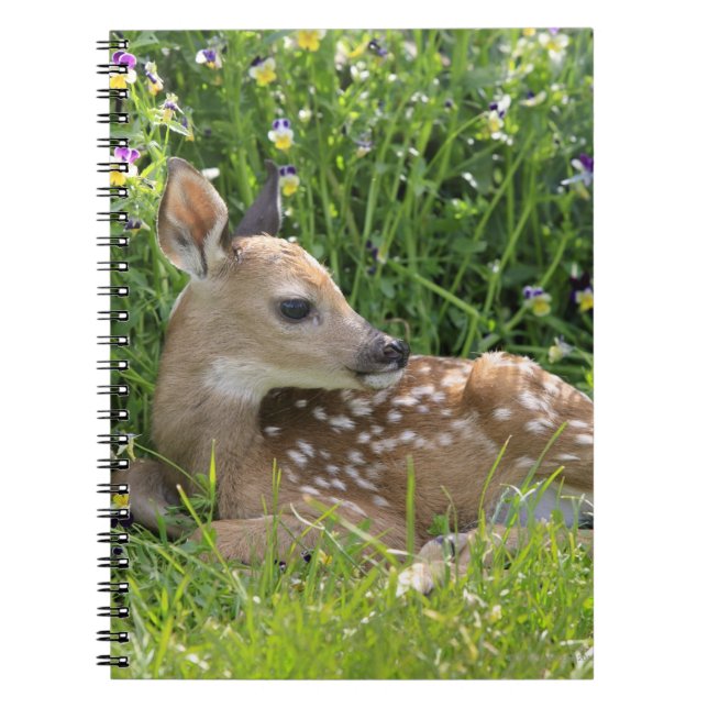 Weiß-angebundene Rotwild (Odocoileus virginianus) Notizblock (Vorderseite)