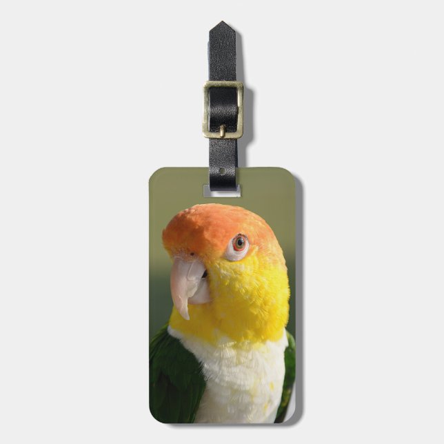 Weiß aufgeblähter Caique-Papagei Gepäckanhänger (Vorderseite vertikal)