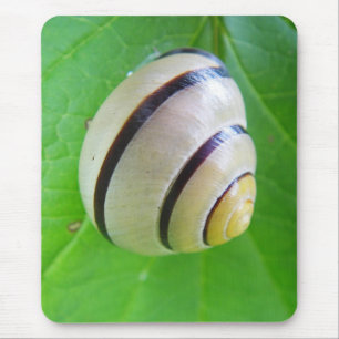 Weiß-braune Schnecke Mousepad
