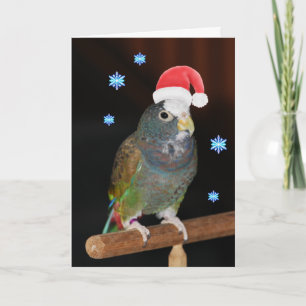Weiß-mit einer Kappe bedeckte Pionus Sankt Grüße Feiertagskarte