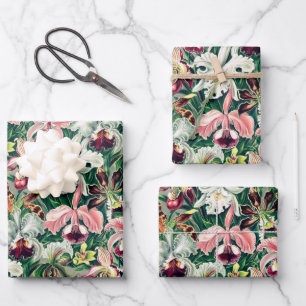 Weiß rosa Gelbgrün-Orchideenmuster Geschenkpapier Set