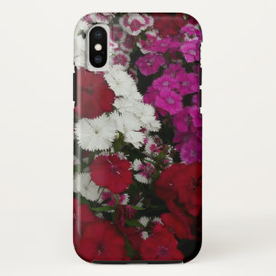 Weiß, Rosa und Rote Dianthus title_seo2