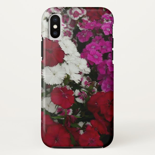 Weiß, Rosa und Rote Dianthus Case-Mate iPhone Hülle (Rückseite)