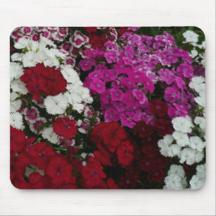 Weiß, Rosa und Rote Dianthus Mousepad