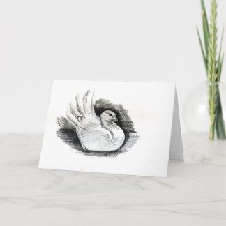 Weiß-Taube Karte