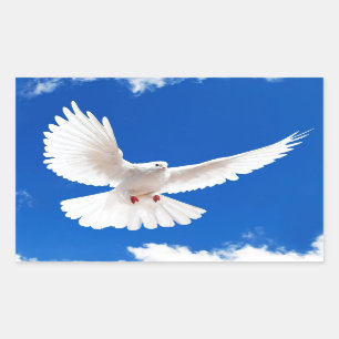 Weiß-Tauben-Vogel-FriedensLiebe-fliegender Himmel Rechteckiger Aufkleber