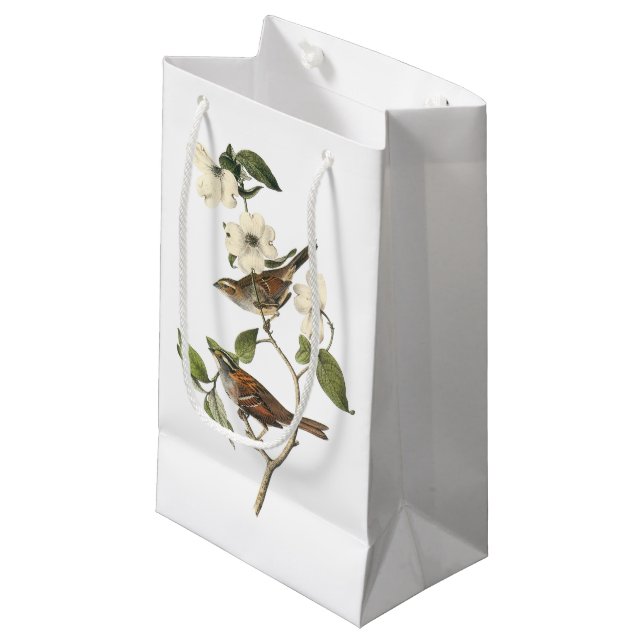 Weiß-throated Spatz durch Audubon Kleine Geschenktüte (Vorderseite Schrägansicht)