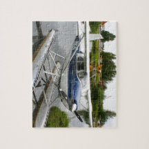 Weiß u. Marinefloss-Flugzeug, Alaska