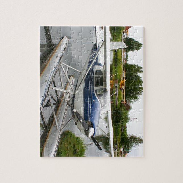 Weiß u. Marinefloss-Flugzeug, Alaska (Vertikal)