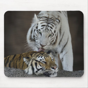 Weiß und Brown-Tiger-Stillstehen Mousepad