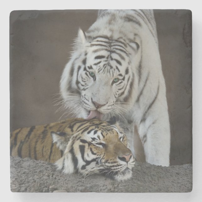 Weiß und Brown-Tiger-Stillstehen Steinuntersetzer (Vorderseite)
