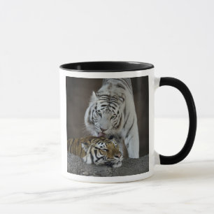 Weiß und Brown-Tiger-Stillstehen Tasse