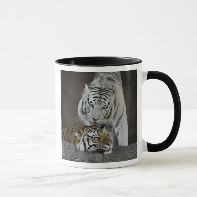 Weiß und Brown-Tiger-Stillstehen Tasse (Rechts)