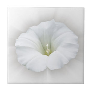 weiß und grau fliese