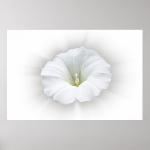 weiß und grau poster