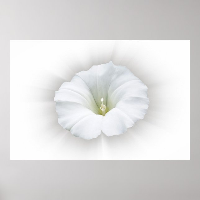 weiß und grau poster (Vorne)