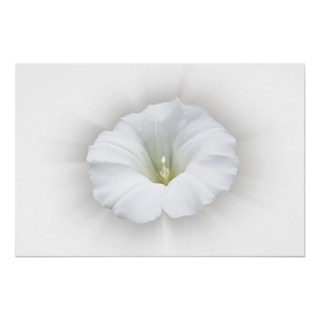 weiß und grau poster (Vorderseite)