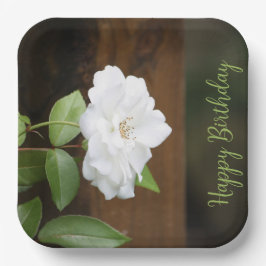 Weiß und grün - eleganter Platz Pappteller