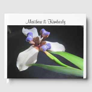 Weiß und Lila Iris Blossom Gästebuch