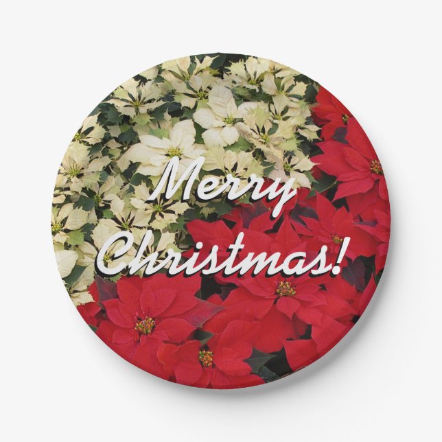 Weiß und rot Poinsettias I Holiday Floral Pappteller (Vorderseite)