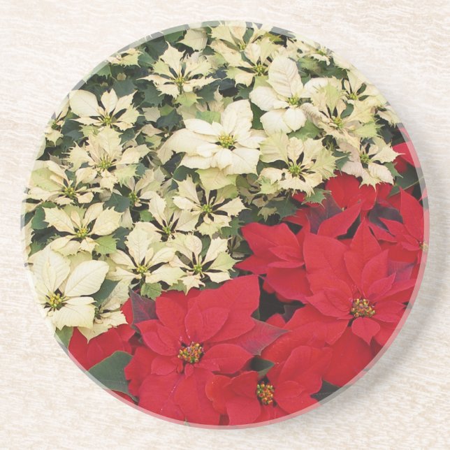 Weiß und rot Poinsettias I Holiday Floral Untersetzer (Vorne)