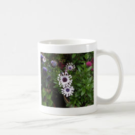 Weißafrikanischer Daisy Kaffeetasse