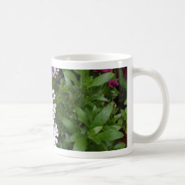 Weißafrikanischer Daisy Kaffeetasse