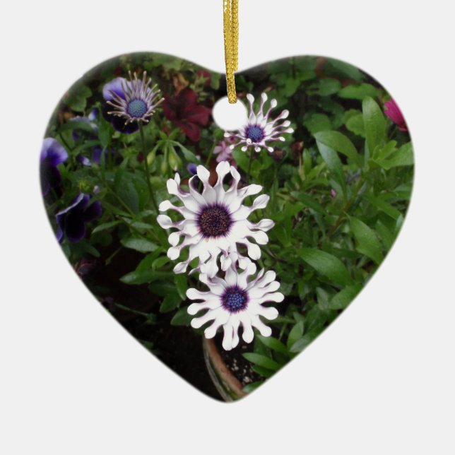 Weißafrikanischer Daisy Keramik Ornament (Vorne)