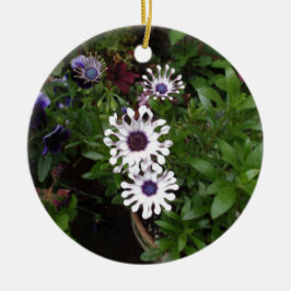 Weißafrikanischer Daisy Keramikornament