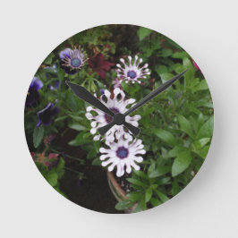 Weißafrikanischer Daisy Runde Wanduhr