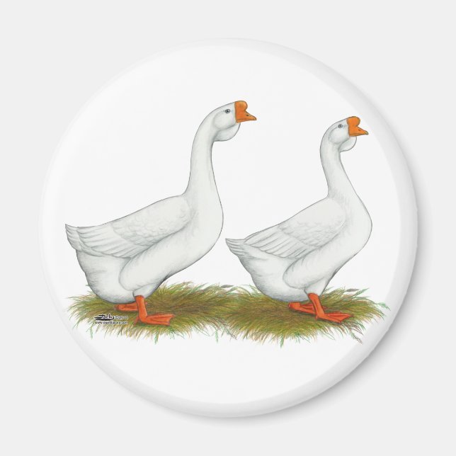 Weißafrikanischer Gänse Magnet (Vorne)