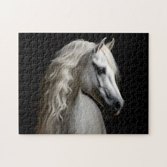 Weißandalusischer Stallion (Horizontal)