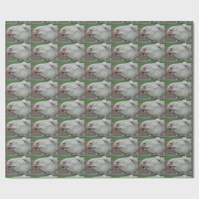 Weißbarocke Donkey Geschenkpapier (Flach)