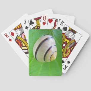 Weißbraune Schnecke Spielkarten