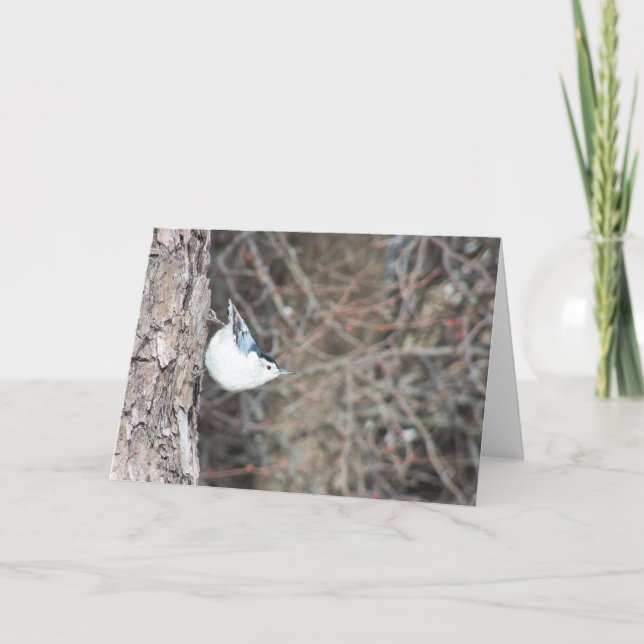 Weißbrühe Karte (Vorderseite)