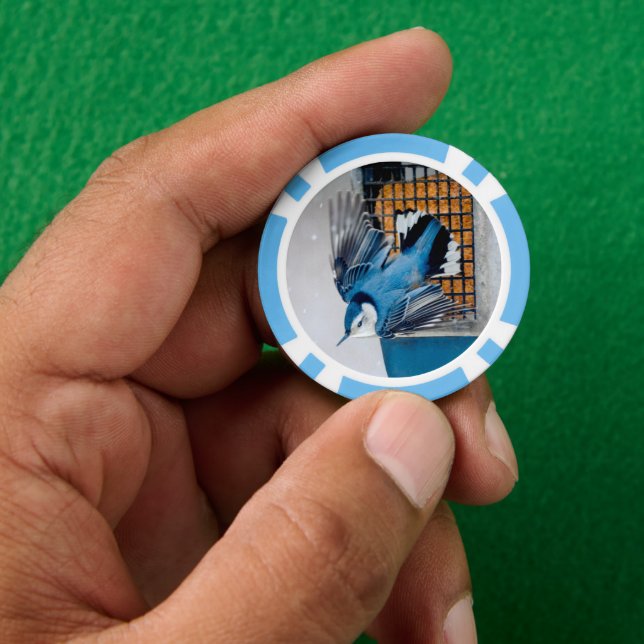 Weißbrüste im Schnee Pokerchips (Hand)