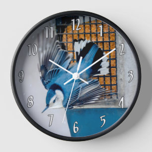 Weißbrüste im Schnee Uhr