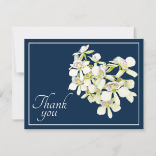 Weiße Adern-Orchideen auf navyblauem Hintergrund - Postkarte