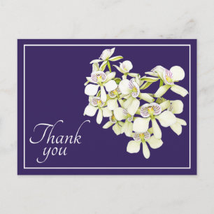 Weiße Adern-Orchideen Lila Hintergrund Danke Postkarte