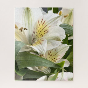 Weiße Alstroemeria-Blumen Nahaufnahme-Fotografie