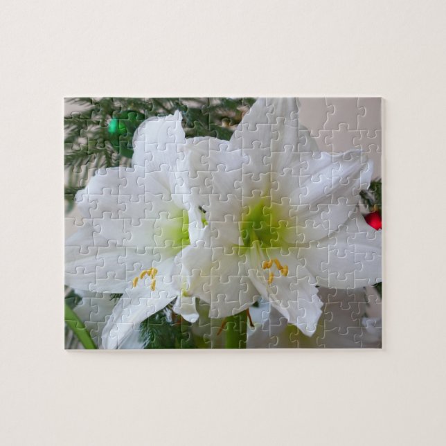 Weiße Amaryllis und Weihnachtsbaum (Horizontal)