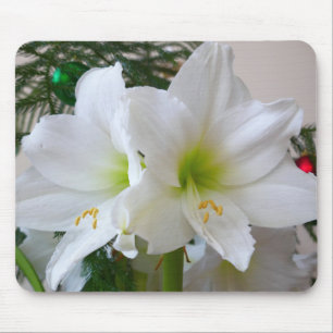 Weiße Amaryllis und Weihnachtsbaum Mousepad