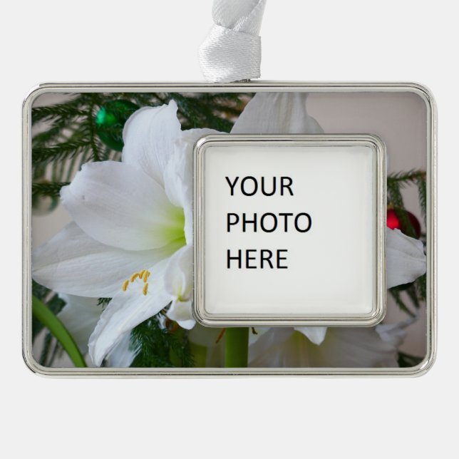 Weiße Amaryllis und Weihnachtsbaum Rahmen-Ornament Silber (Vorderseite)