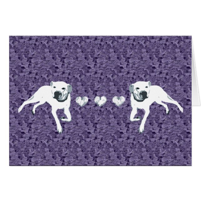 Weiße amerikanische Grube Stier mit den (Vorderseite (Horizontal))