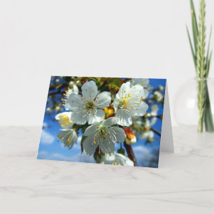 Weiße Apfelblüte Feiertagskarte