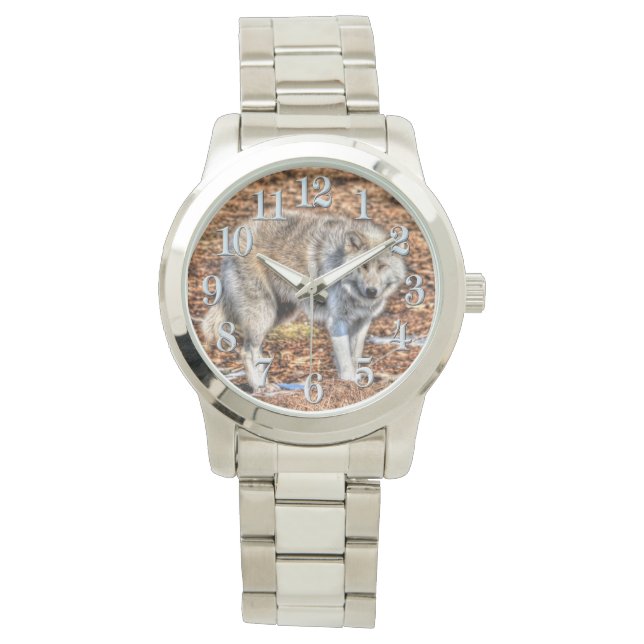 Weiße arktische Wolfe und Waldbrände - Wildtiere b Armbanduhr (Vorderseite)