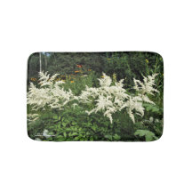 Weiße Astilbe Gloriosa Gänseblümchen